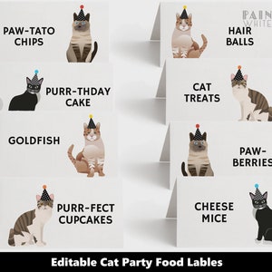 Jungen Katze Party Food Labels Editierbare druckbare Gastgeschenke Tasche Topper Corjl Vorlage Kitty Birthday Party Decor PWL19BW