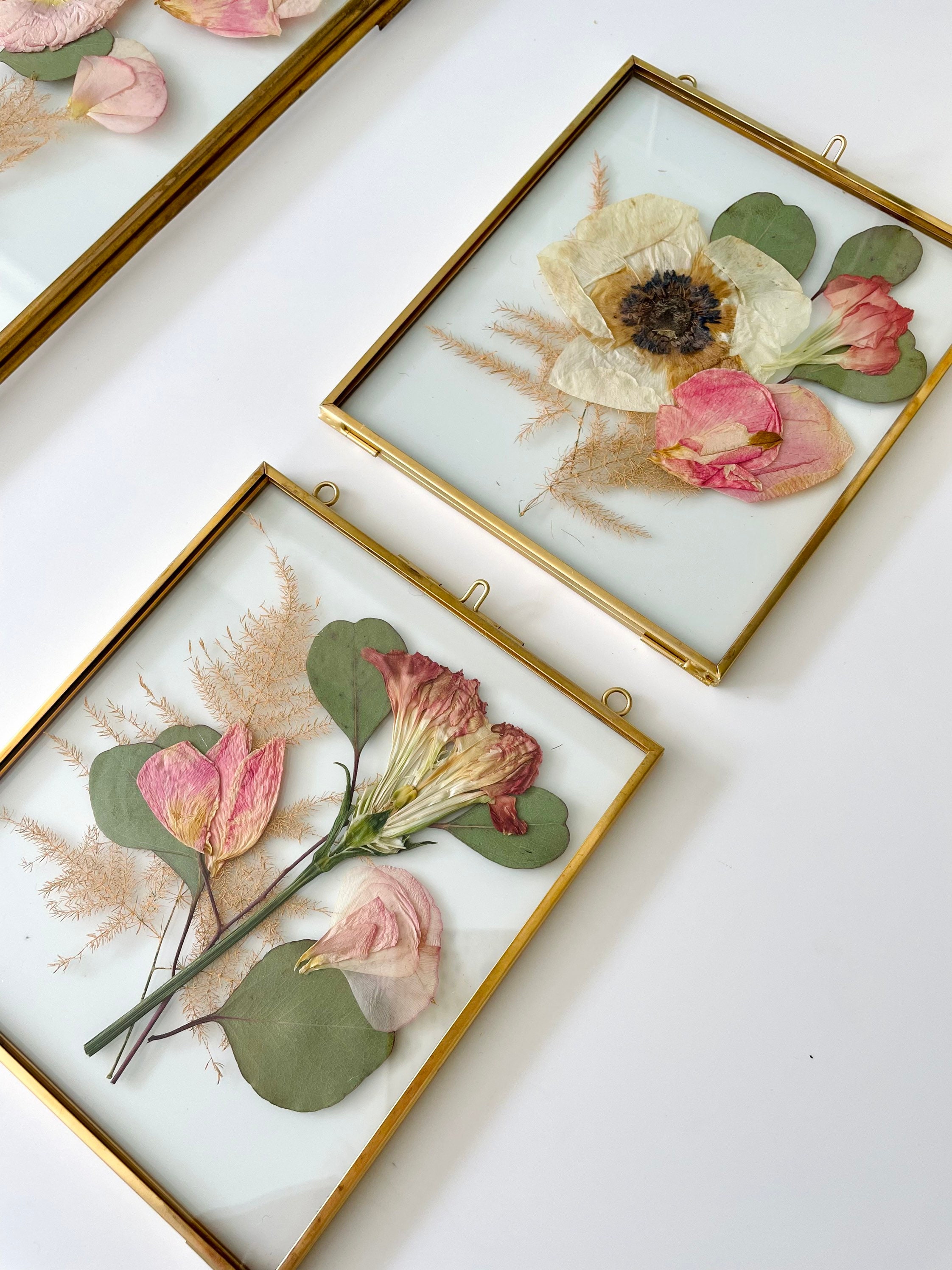 Pressed flowers frame 10.5x12.5 - Cornflowers - Emerald Rabbit