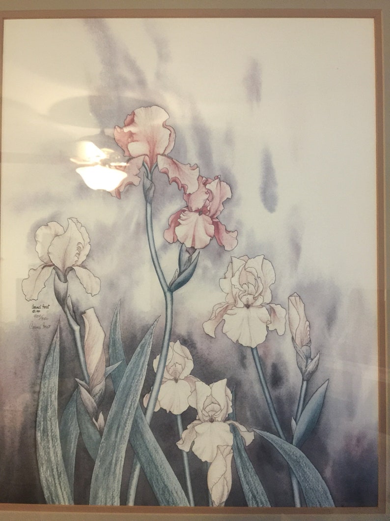 Carmel Foret Iris Print 1981 Etsy