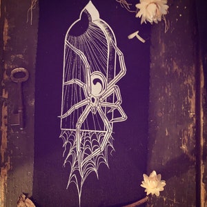 Portal spider