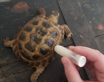 TurboTone Tortoise Shell Balm 5.5 mL Stick