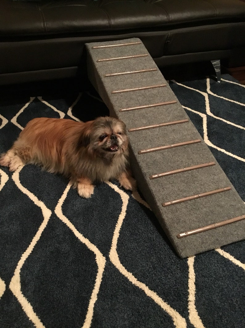 Dachshund Two Steps Outdoor Ramp Etsy