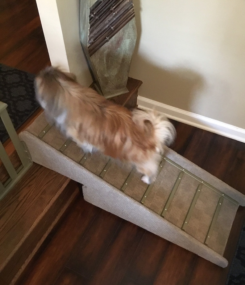 Maltese Two Step Indoor Ramp With Raised Border Etsy