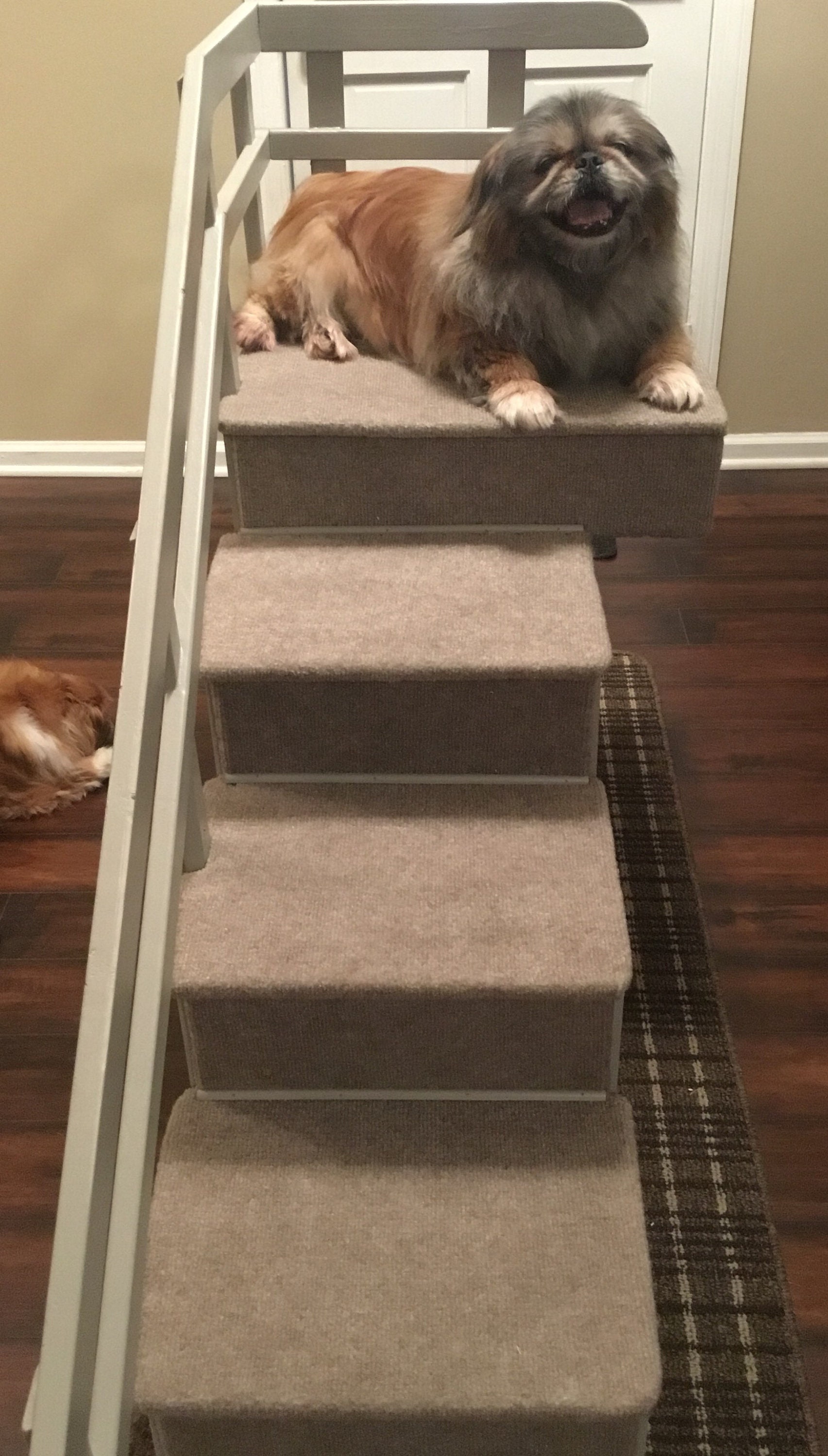 bed with stairs for dogs