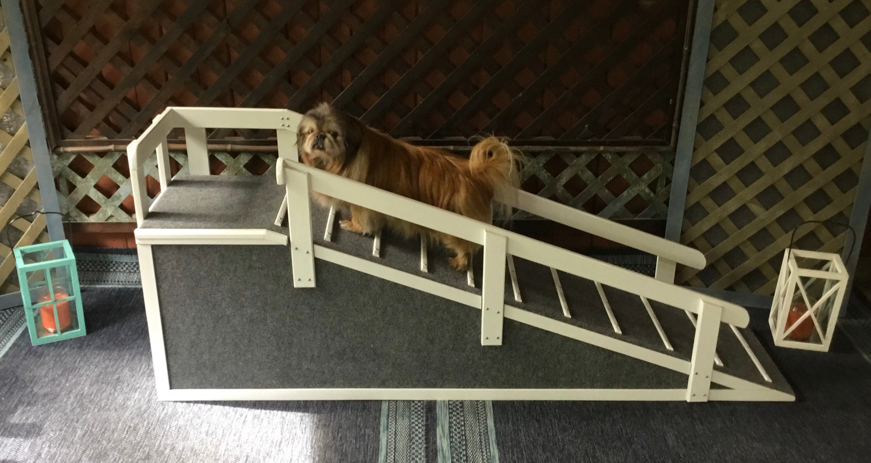 Bichon Yorkie/Shih Tzu Mix Side of Stairs Ramp Etsy
