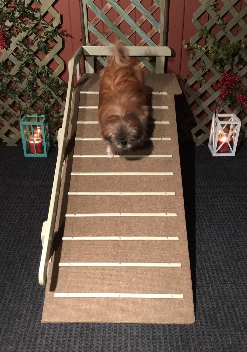 Two Miniature Dachshunds Outdoor/Deck/Balcony Ramp Etsy