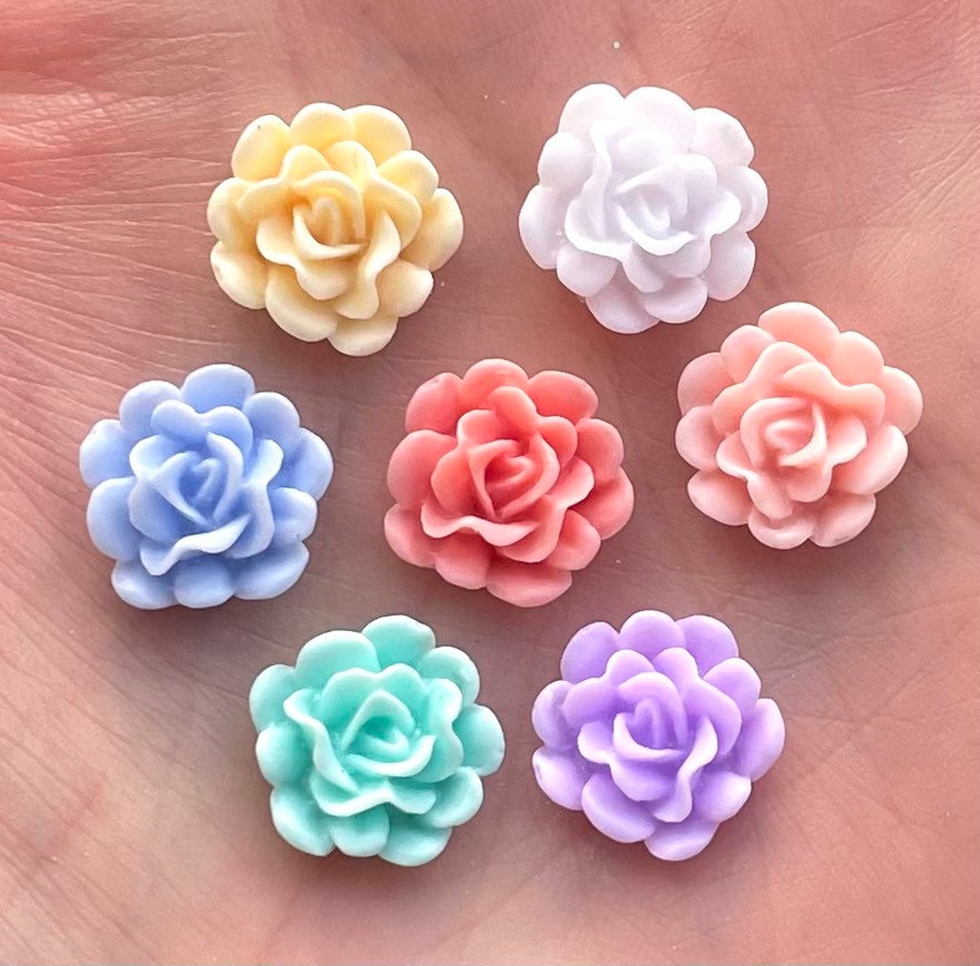 6 Boîtes Fleurs Séchées Embellissements Pour L'Artisanat Décoration Des