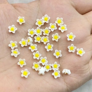 May include: A collection of small white flower charms with yellow centres. The charms are scattered on a hand.
