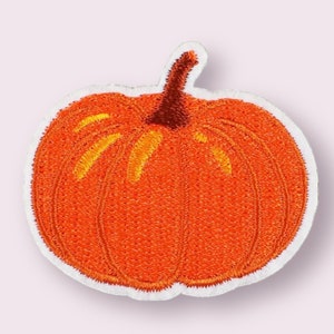 May include: An embroidered patch in the shape of a pumpkin. The pumpkin is orange with vertical ribbed texture and yellow highlights, featuring a dark brown stem at the top. The entire design is outlined with a white border on a light background.