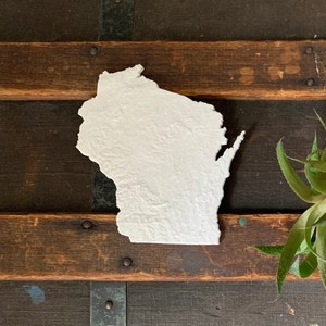 3D Printed Topographic Map of Wisconsin - Wisconsin Map - Map Art - Wisconsin Themed Gift (White, approx 5 inches x 5.5 inches)