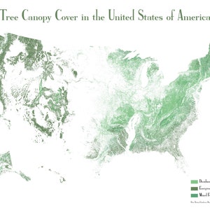 United States Tree Cover Map Poster