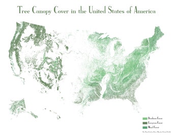 United States Tree Cover Map Poster