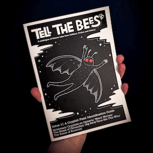 May include: A black and white magazine titled "TELL THE BEES" featuring a moth-like creature with red eyes. The cover reads "A catalogue of bizarre tales from Folklore, Fiction and History". Issue 11 is a cryptid field identification guide, with various cryptid names.