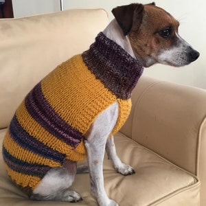 Jack russell top harness size