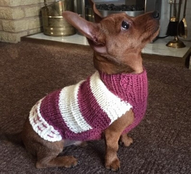 Personalised Dog & Puppy Jumpers Handknitted in UK for Boston Etsy UK