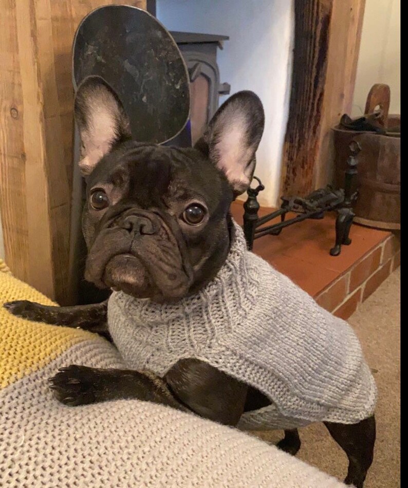French Bulldog Dog Jumper Small Ready to Wear Dog Sweater Etsy UK