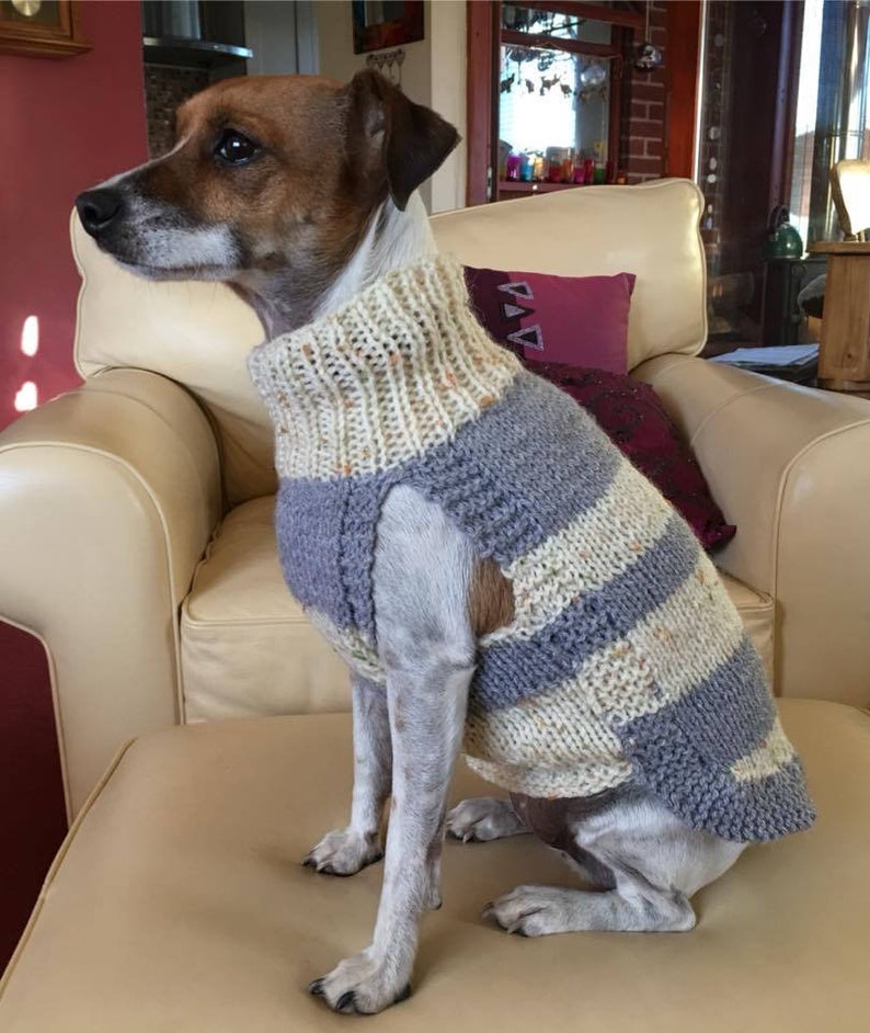 dog jumper with harness hole