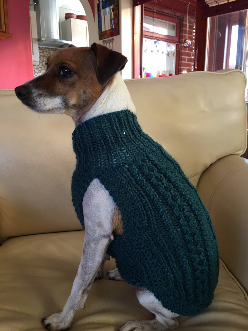 Petit Pull pour chien Aran tricoté à la main avec des motifs Etsy