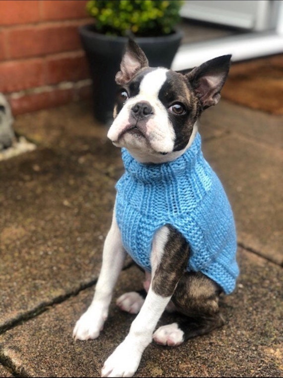 Personalised Dog & Puppy Jumpers Handknitted in UK for Boston - Etsy Norway