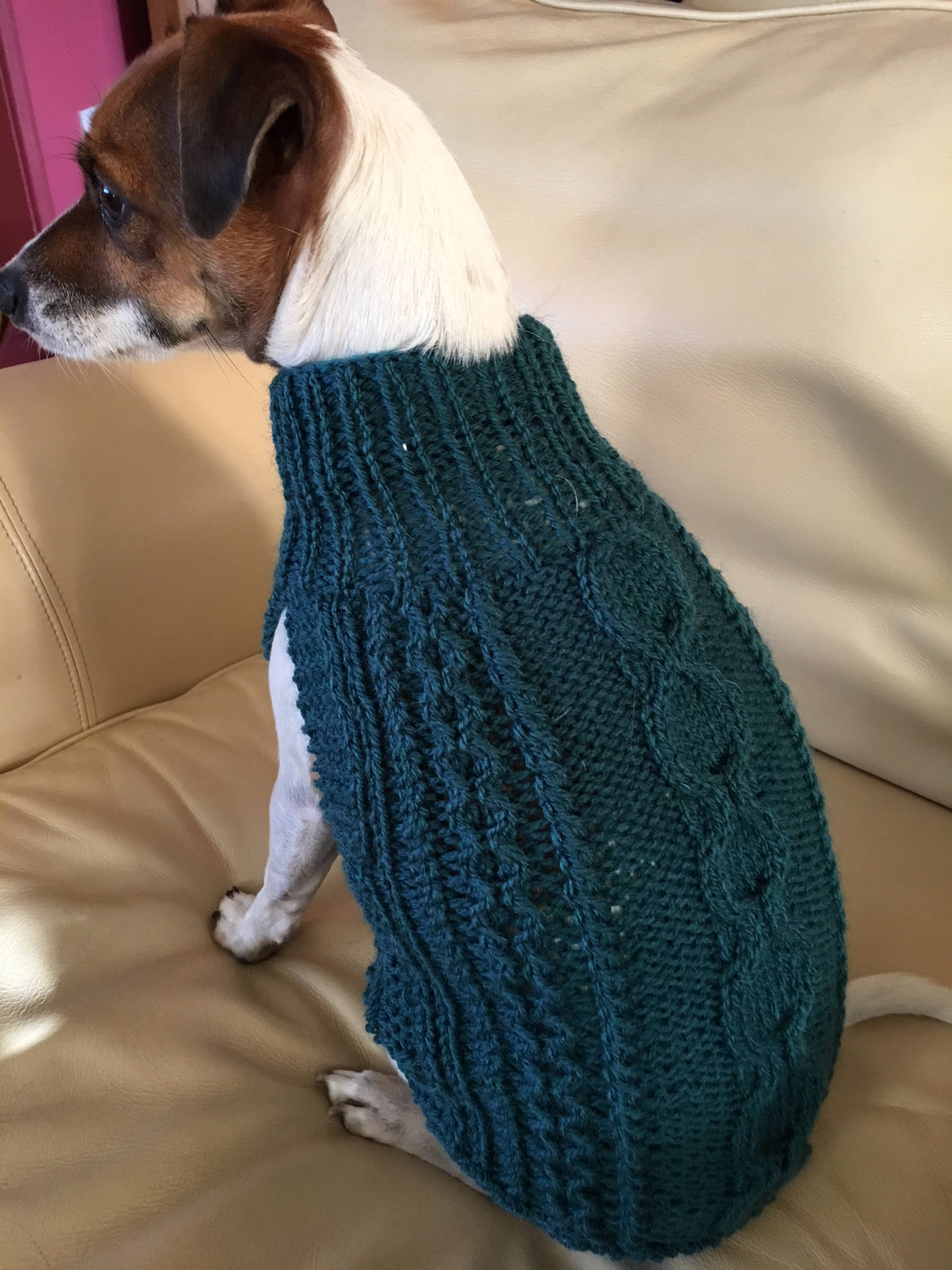 Aran Dog Sweater - Etsy UK