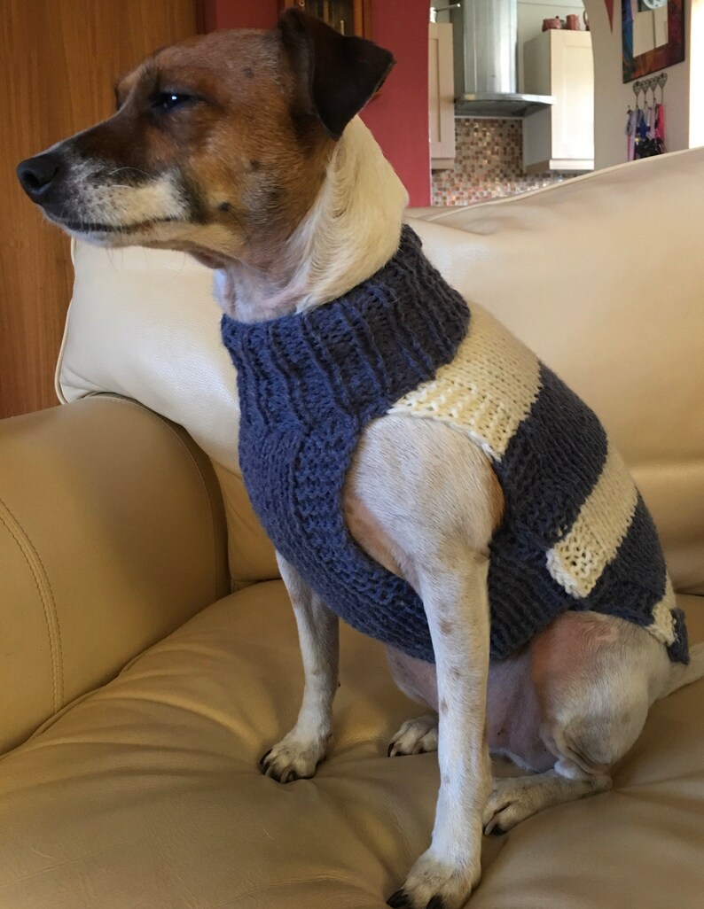 Personalised Dog & Puppy Jumpers Handknitted in UK for Boston Etsy UK