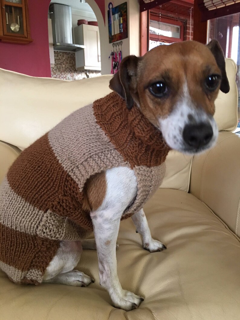 Dog Jumper Extra Long Size Small Hand Knitted Dog Jumper Etsy Australia