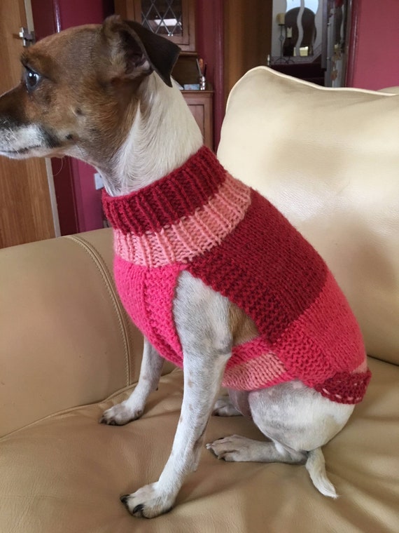 dog sweaters size small