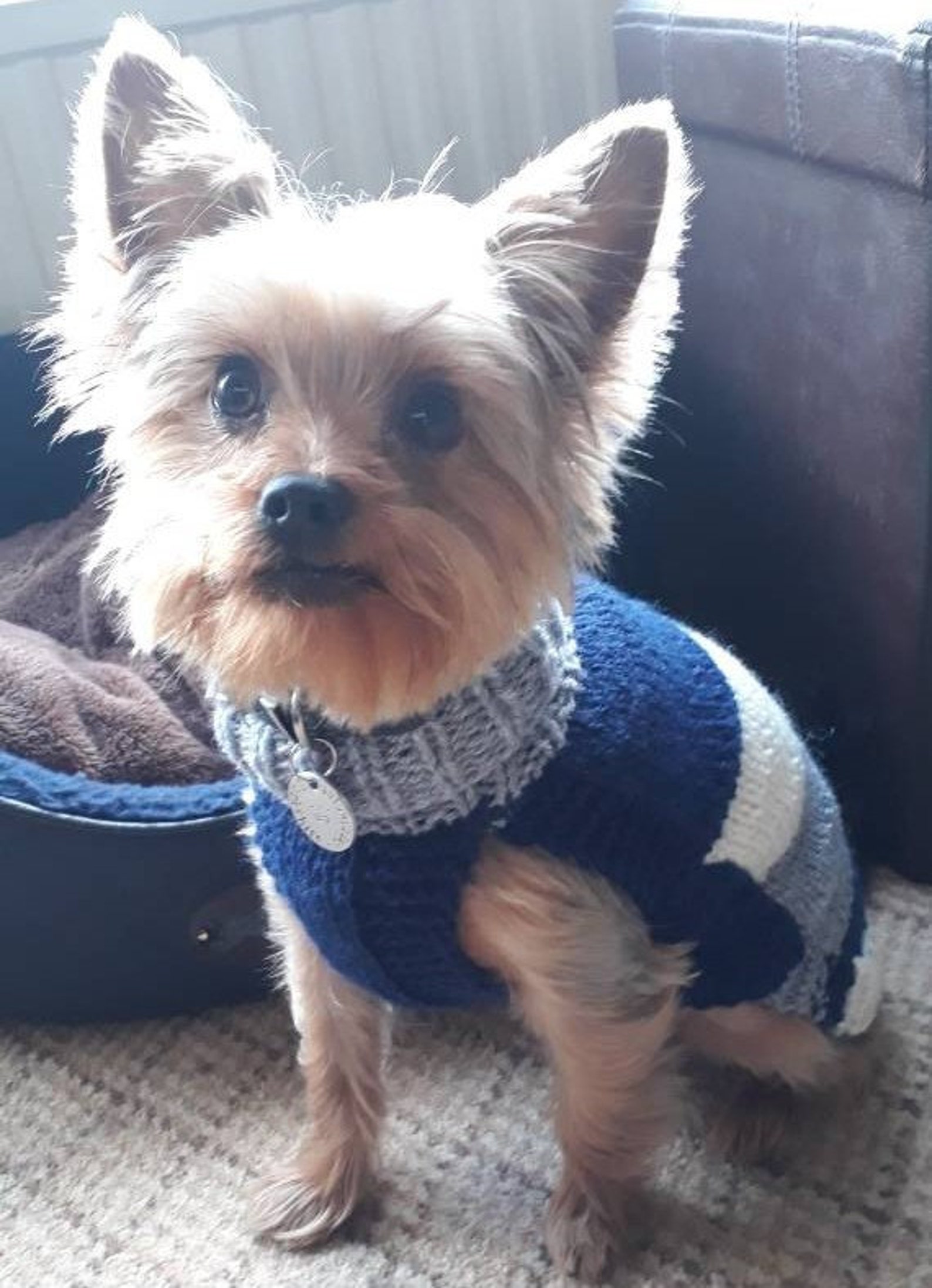 Customised Dog & Puppy Jumpers Harness Hole Handknitted in Etsy