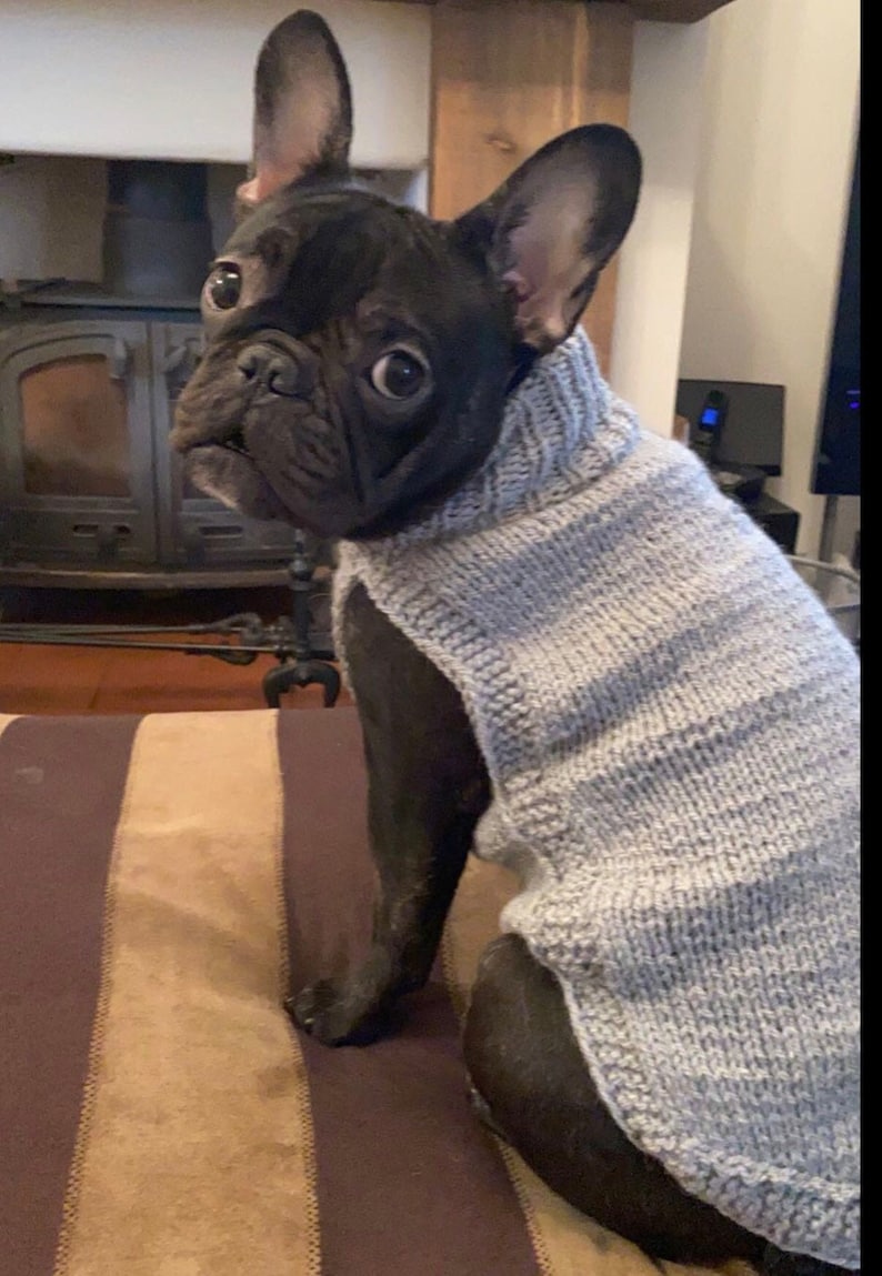 French Bulldog Dog Jumper Small Ready to Wear Dog Sweater Etsy UK