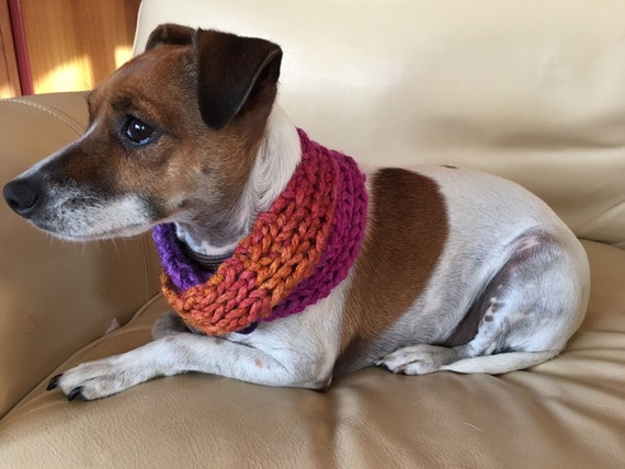 knitted dog scarf