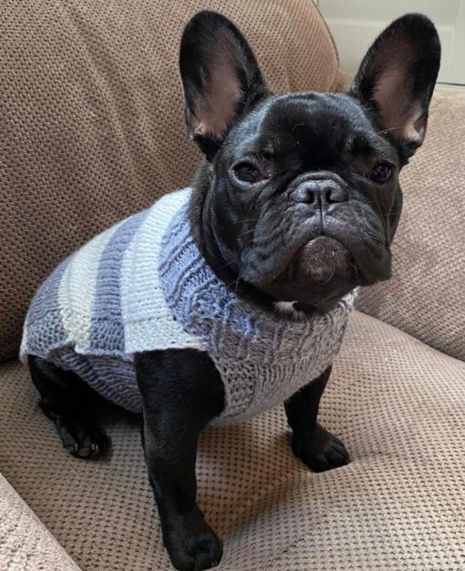 Customised Dog & Puppy Jumpers Harness Hole Handknitted in Etsy UK