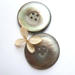 Big Abalone Buttons Curved Mother of Pearl Button Collectible Antiques High Quality Jewelry Crafts Clothing Artisans and Sewing