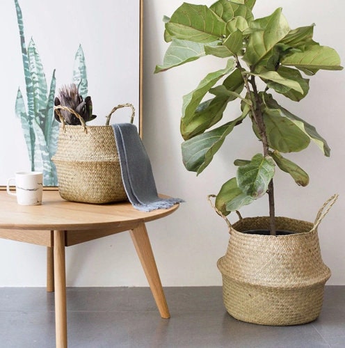Natural Seagrass Woven Storage Pot Tote Belly Basket Storage Plant Pot Cover NL Natural Seagrass Woven Storage Pot Tote Belly Basket Storage Plant Pot Cover NL