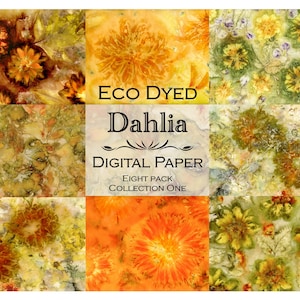 Dahlia eco dyed paper, eco print, eco printing, eco printed paper, nature prints, printables, journal pages, eco dyeing, digital, dahlia #01