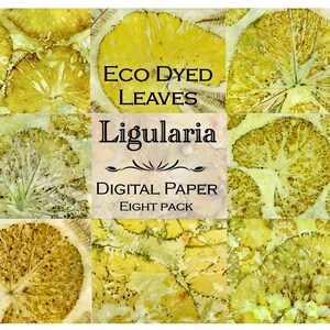 Ligularia eco print, eco dyed paper, eco printing, eco printed paper, nature prints, printables, journal pages, eco dyeing, digital, foliage