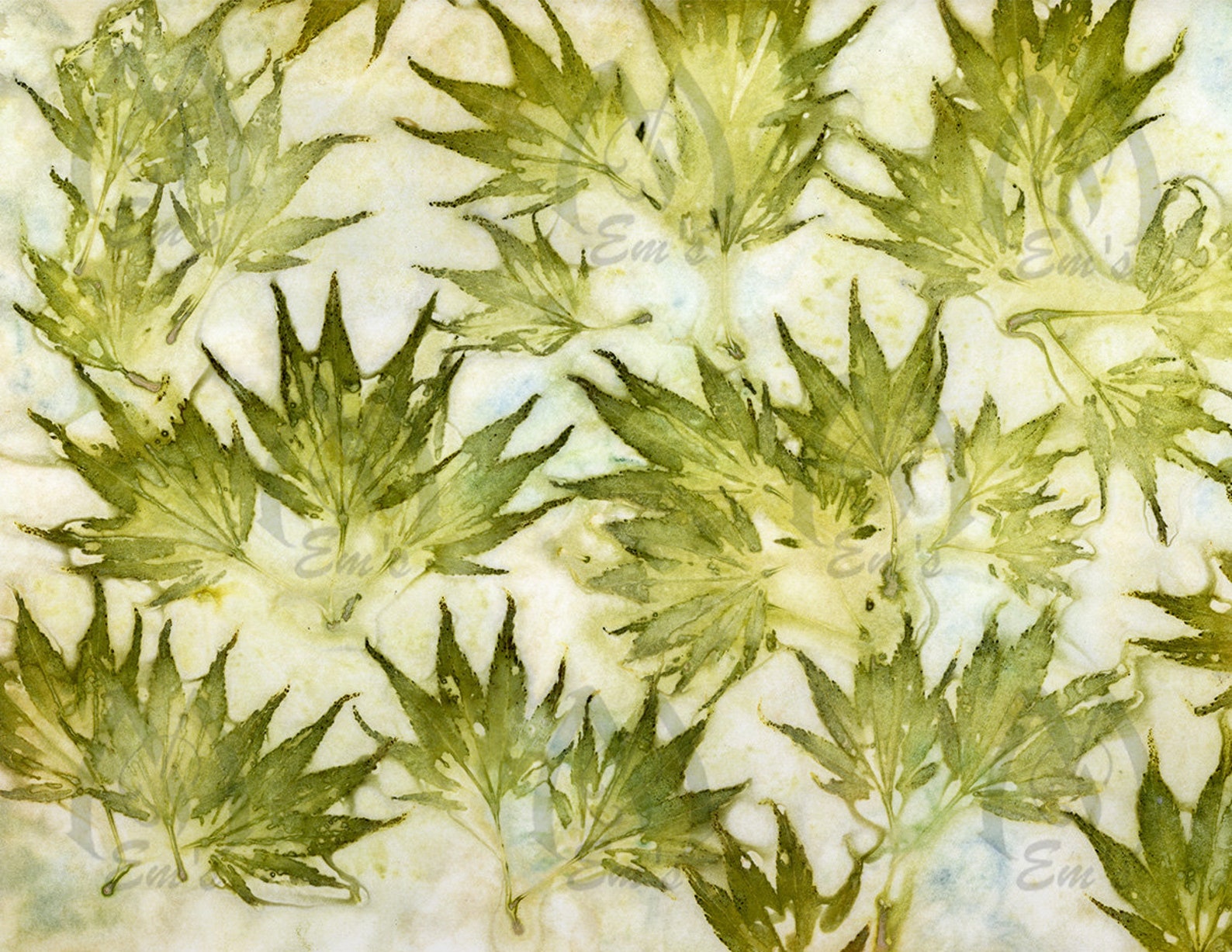Maple Leaves Eco Dyed Paper Eco Print Eco Printing Eco Etsy