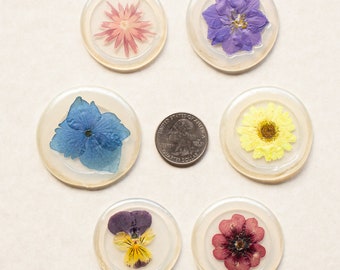 Real Pressed Flower Wax Adhesive Seals, Six-Pack, Assorted Flowers, Embellishement, Gift Package Decor, Adhesive Backing, Decoration, Floral