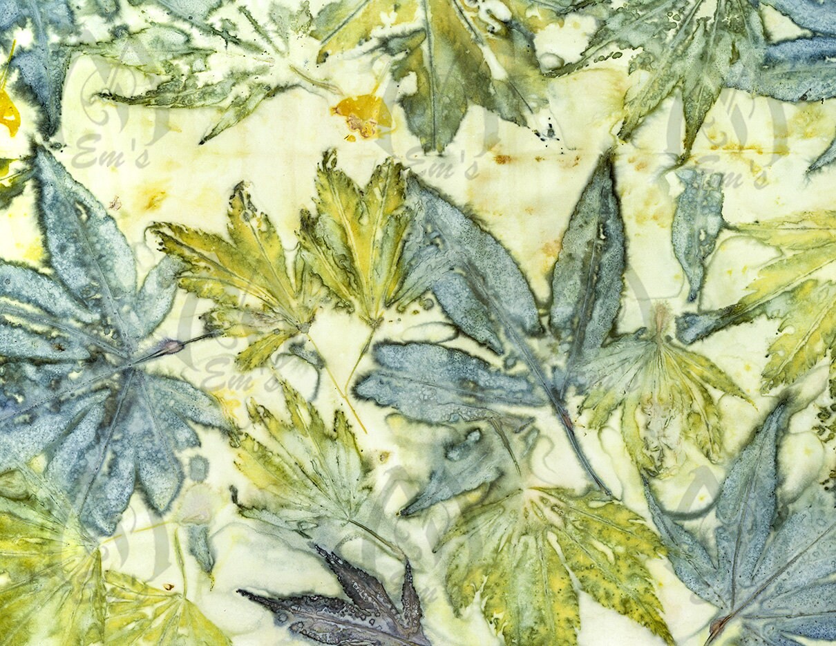 Maple leaves eco dyed paper eco print eco printing eco Etsy