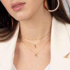 Collar del zodiaco de oro, joyas del zodiaco, collar delicado del zodiaco, collar del horóscopo, collar de Tauro, collar de Libra, collar del signo del zodiaco, imagen 5