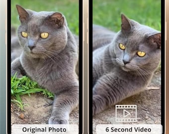 AI Photo Animation, HD Pet Video from Photo, Loss of Dog Cat Gift, Pet Loss gift, Dog Lover Gift, Cat lover gift