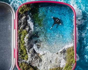 Diorama de bolsillo de un paraíso natural: "La manta raya que voló"
