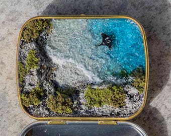 Diorama de bolsillo de un paraíso natural: "La manta raya y su hogar"