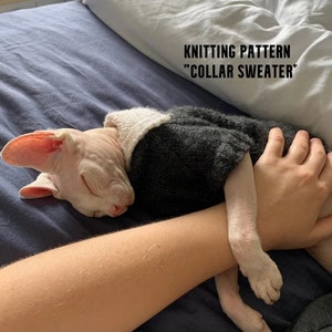 PDF PATTEN!! Sweater with collar, hand-knitted sphynx sweater, sweater for dogs or cats, knit sweater for cat
