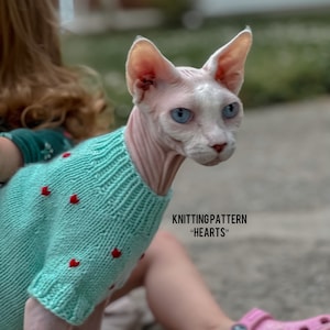 Harten Sphynx-truipatroon, katten en kleine honden (pdf en video)
