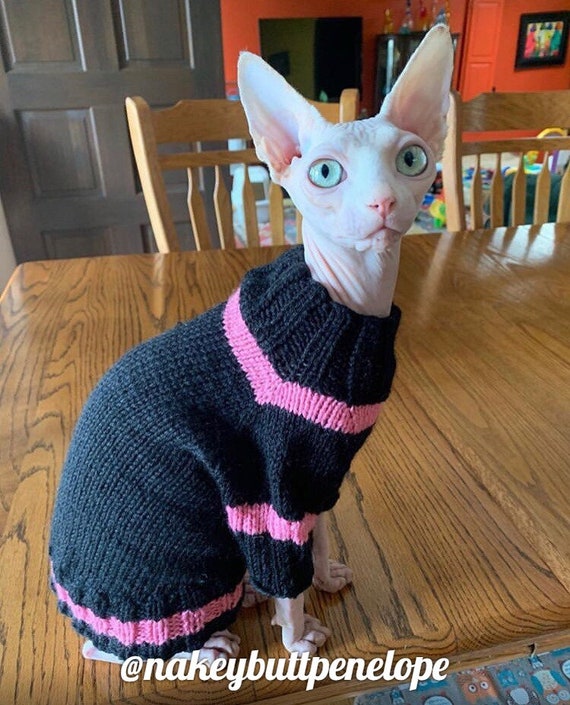 dog long sleeve sweater