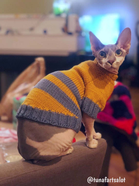 sphynx sweater