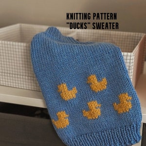 PDF PATTERN! Cats sweater, hand-knitted sphynx sweater, sweater for dogs or cats, knit sweater for cat
