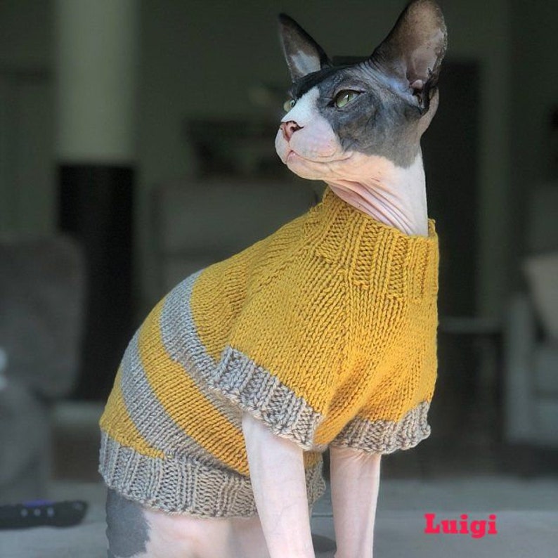 hand-knitted sphynx sweater knit sweater for cat sweater for dogs or cats Sweater
