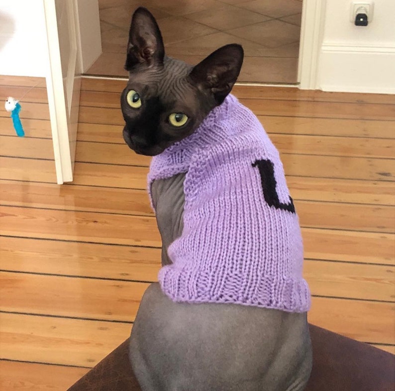 Pattern, Sphynx Cat Knitted Tank Top, PDF and Video Instructions, Cats and Small Dogs Initial Sweater Pattern image 2