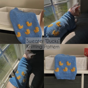 Pattern, Sphynx Cat Knitted Sweater, PDF and Video Instructions, Cats and Small Dogs Sweater Pattern